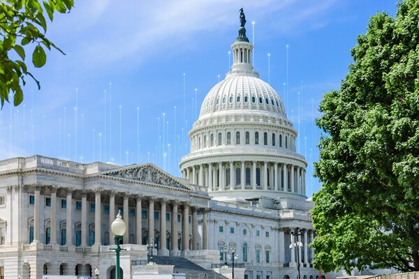 public sector