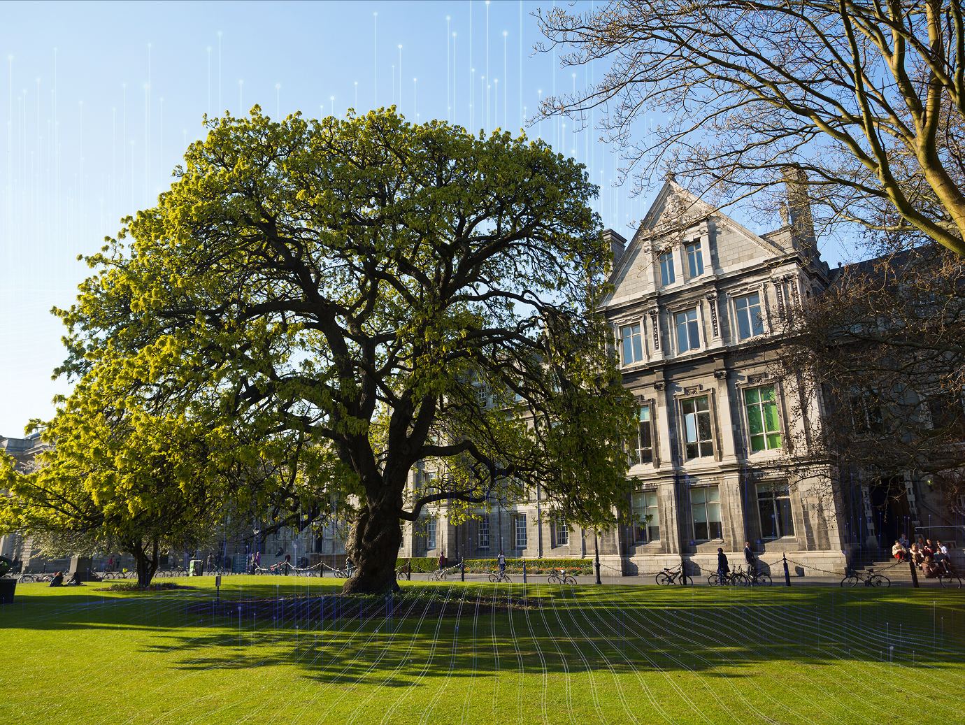 modern campus