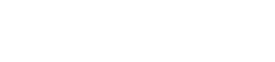 Secure network icon